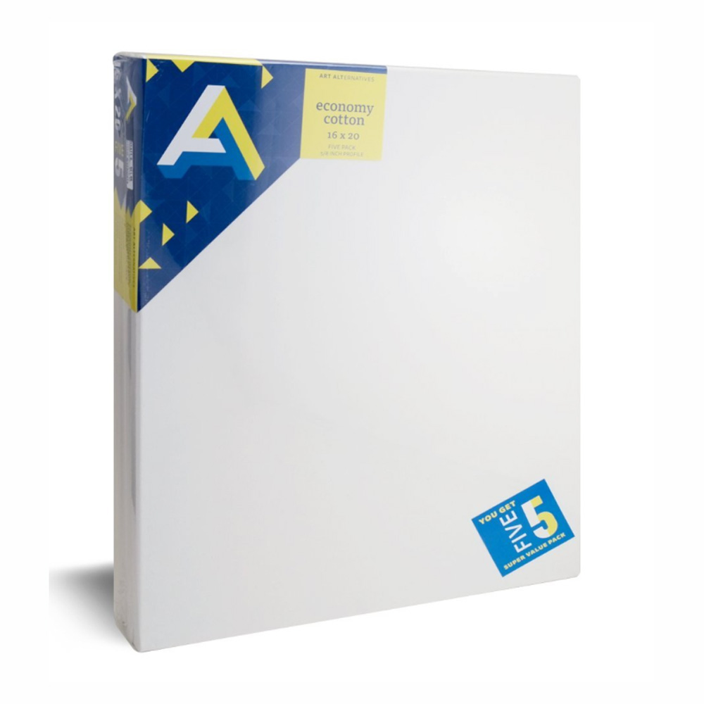 AA Economy Super Value Canvas 5 Pack 16X20