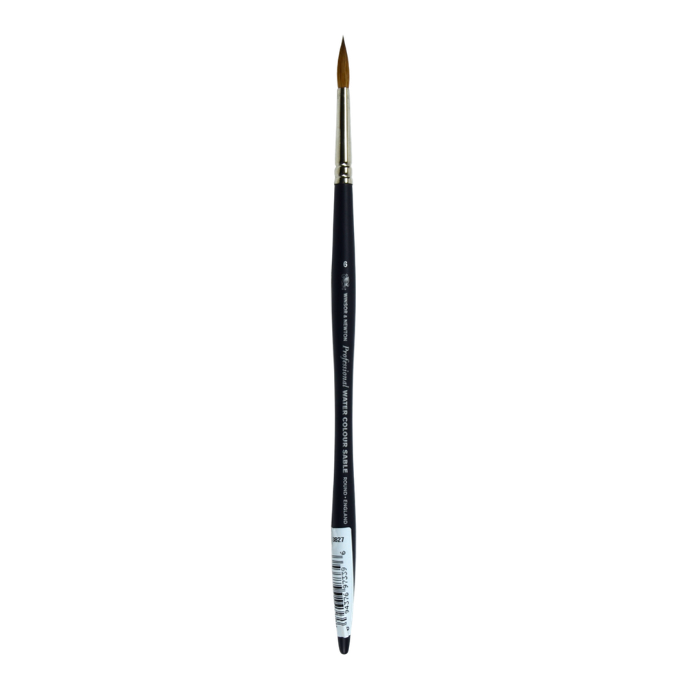 W&N Artist W/C Brush Sable Round 6