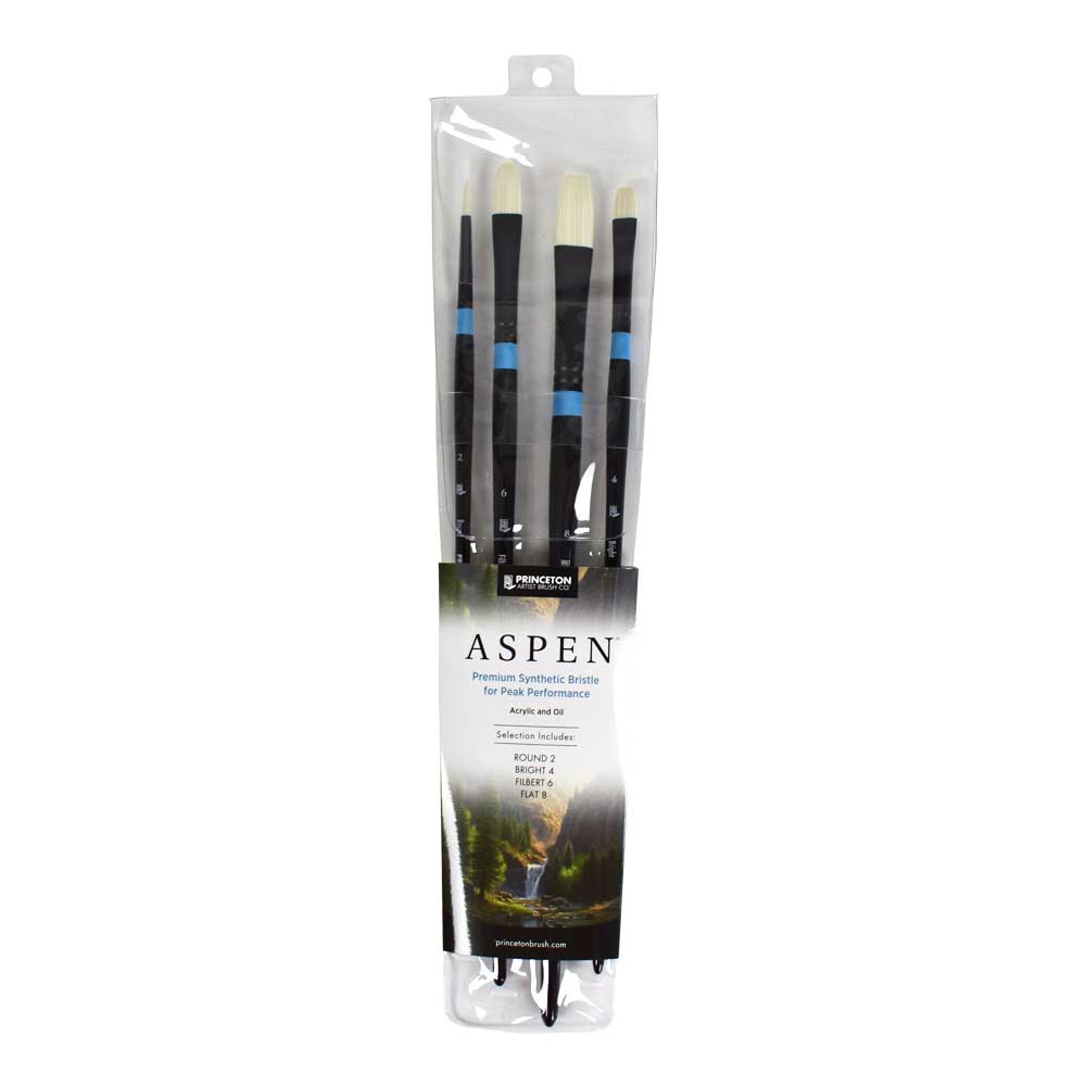 Aspen Professional Brush 4 Piece Set