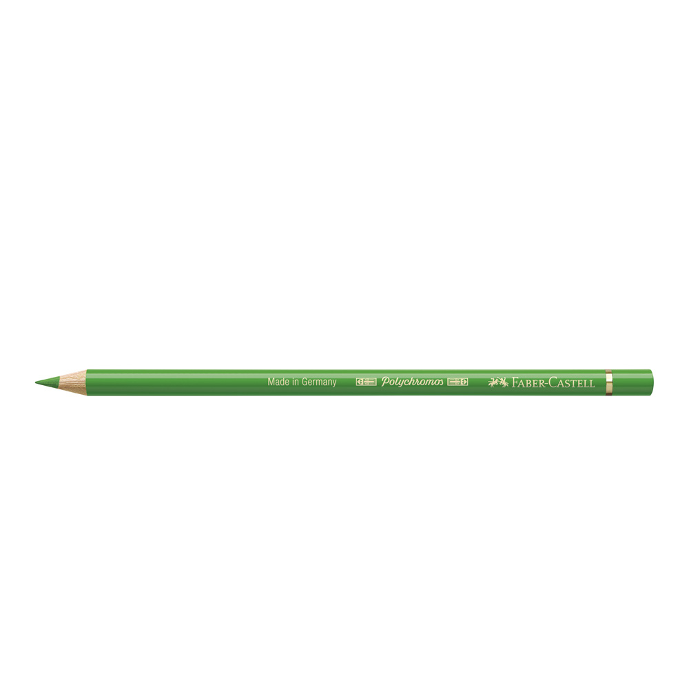 Polychromos Pencil 112 Leaf Green