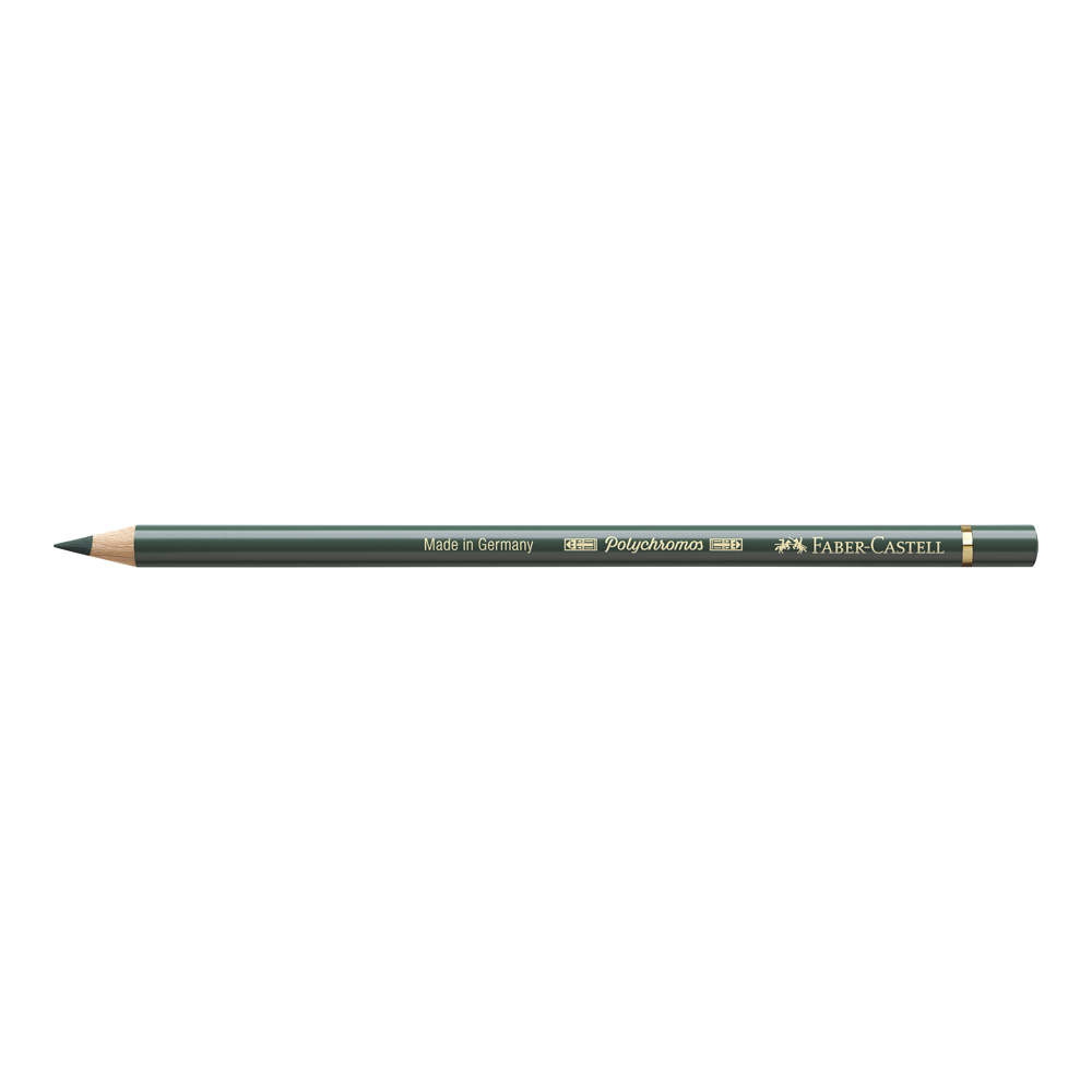 Polychromos Pencil 165 Juniper Green