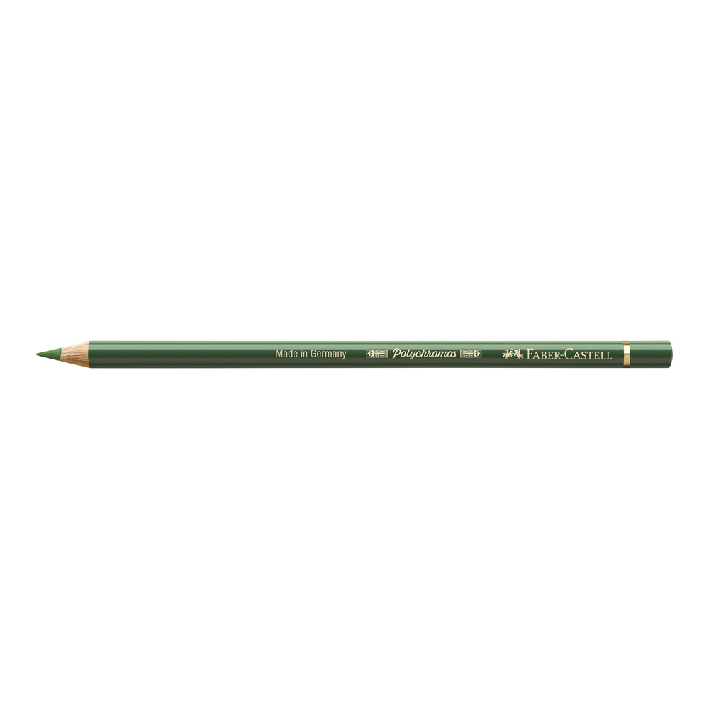 Polychromos Pencil 167 Permanent Green Olive
