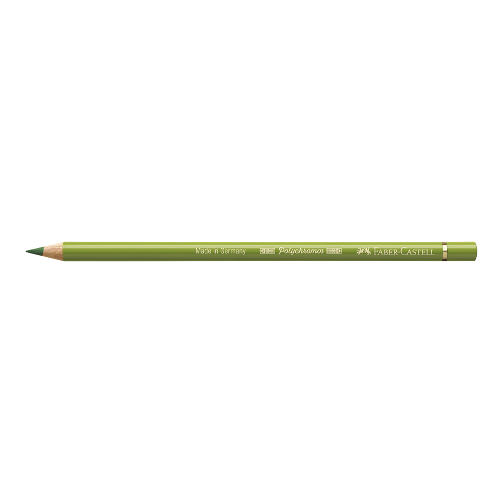 Polychromos Pencil 168 Earth Green Yellowish