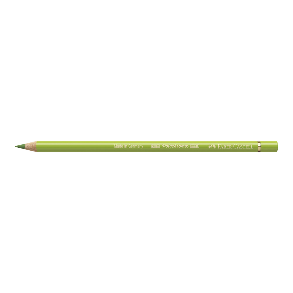 Polychromos Pencil 170 May Green