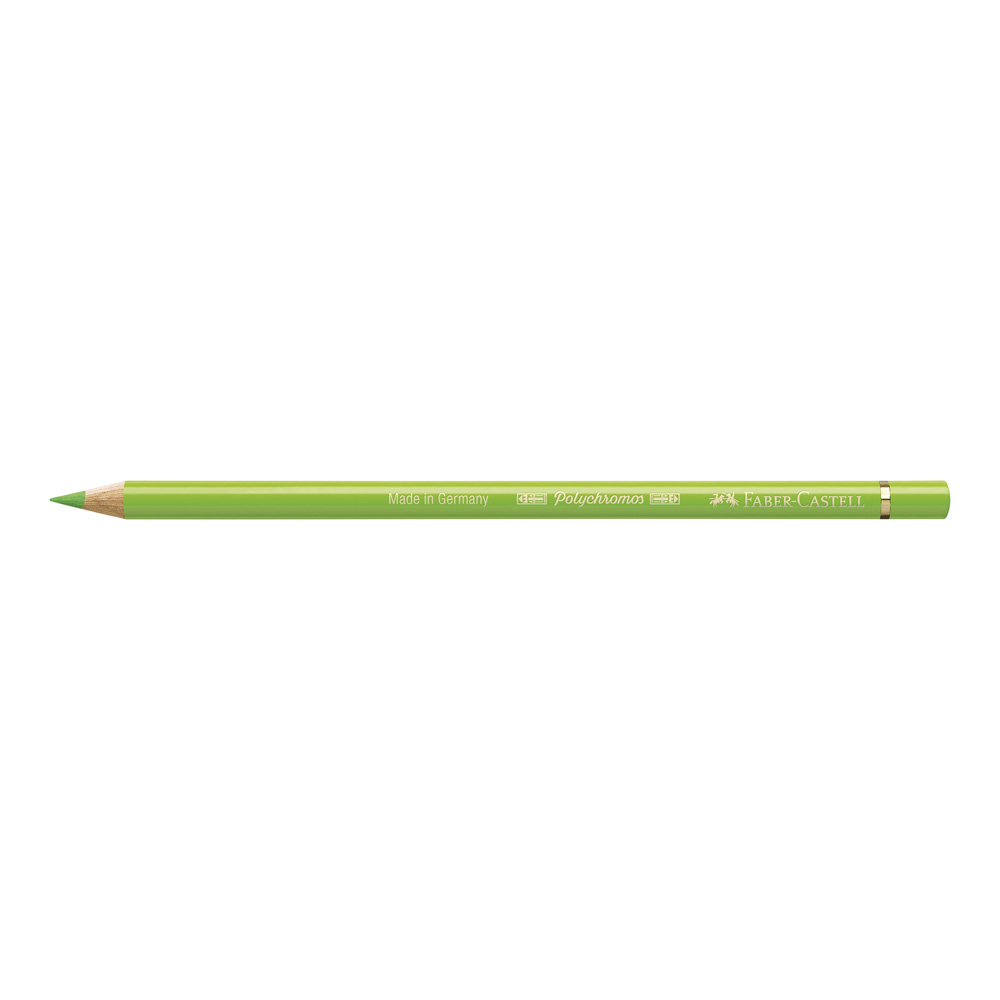 Polychromos Pencil 171 Light Green