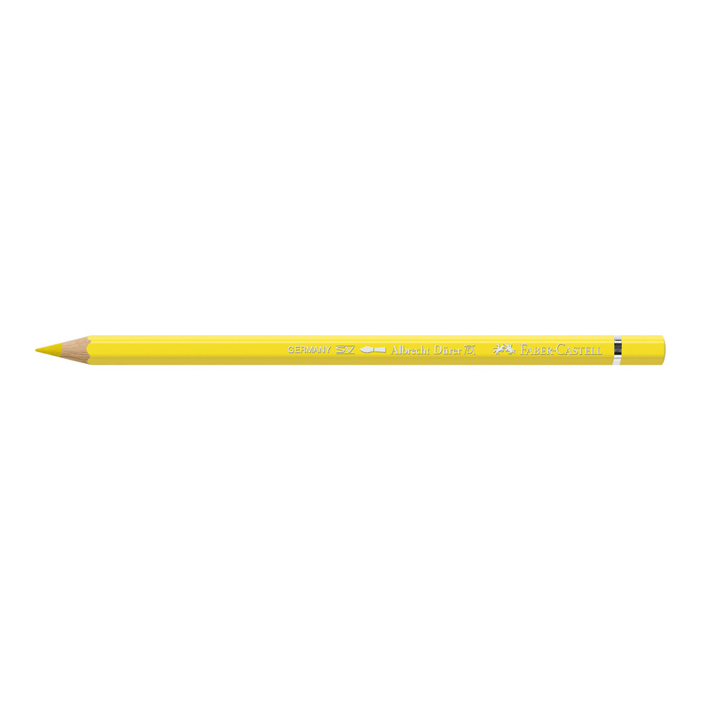 Albrecht Durer W/C Pencil 105 Lt Cad Yellow
