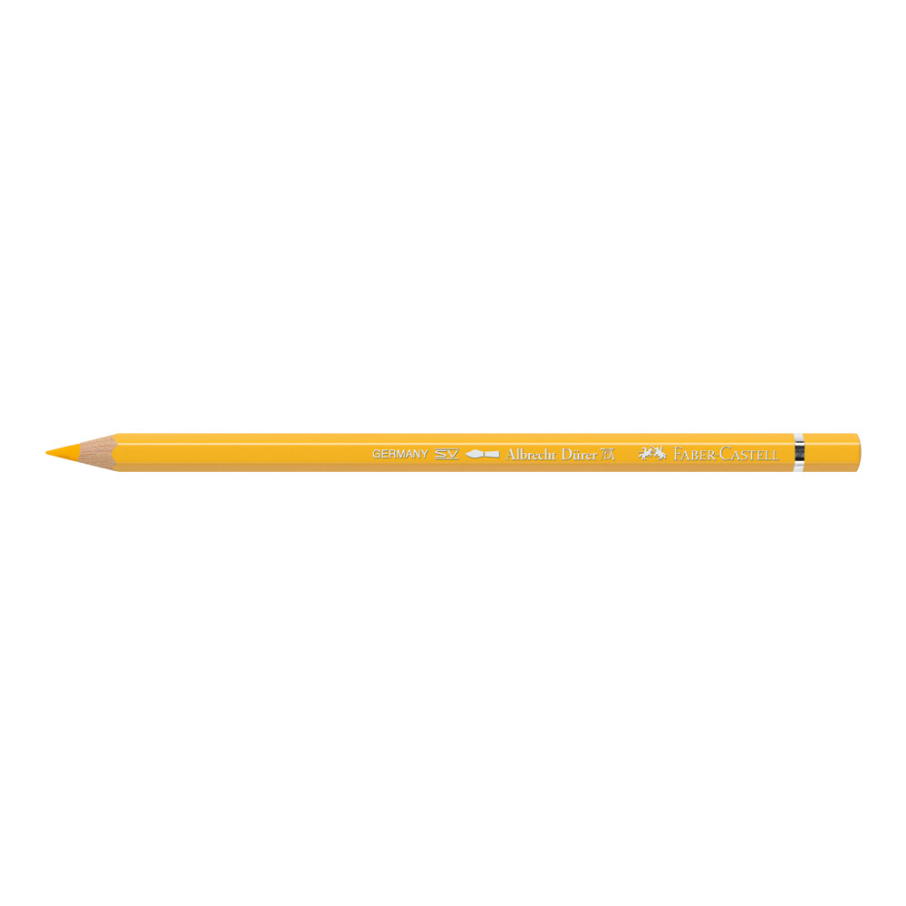 Albrecht Durer W/C Pencil 108 Dk Cad Yellow