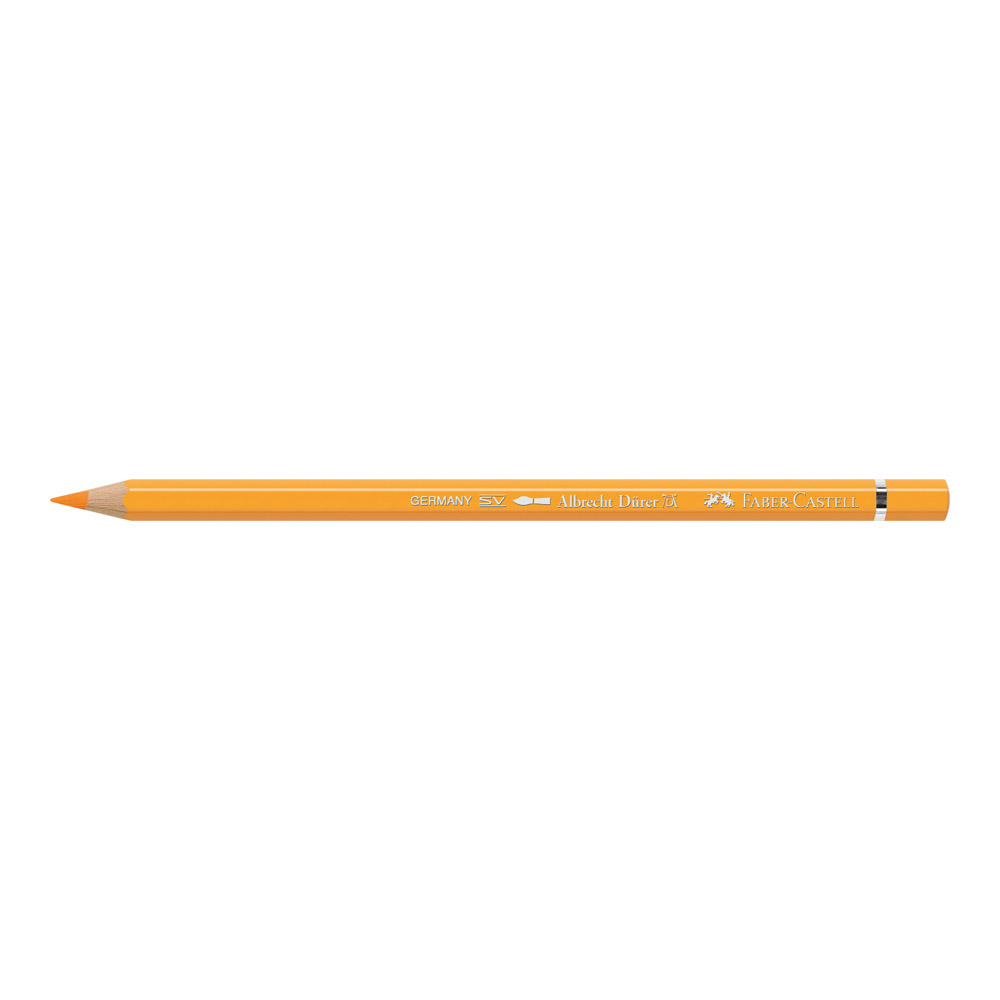 Albrecht Durer W/C Pencil 109 Dk Chrom Yellow