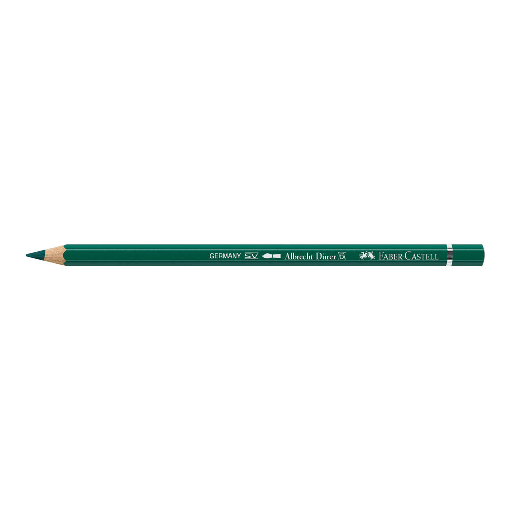 Albrecht Durer W/C Pencil 159 Hookers Green