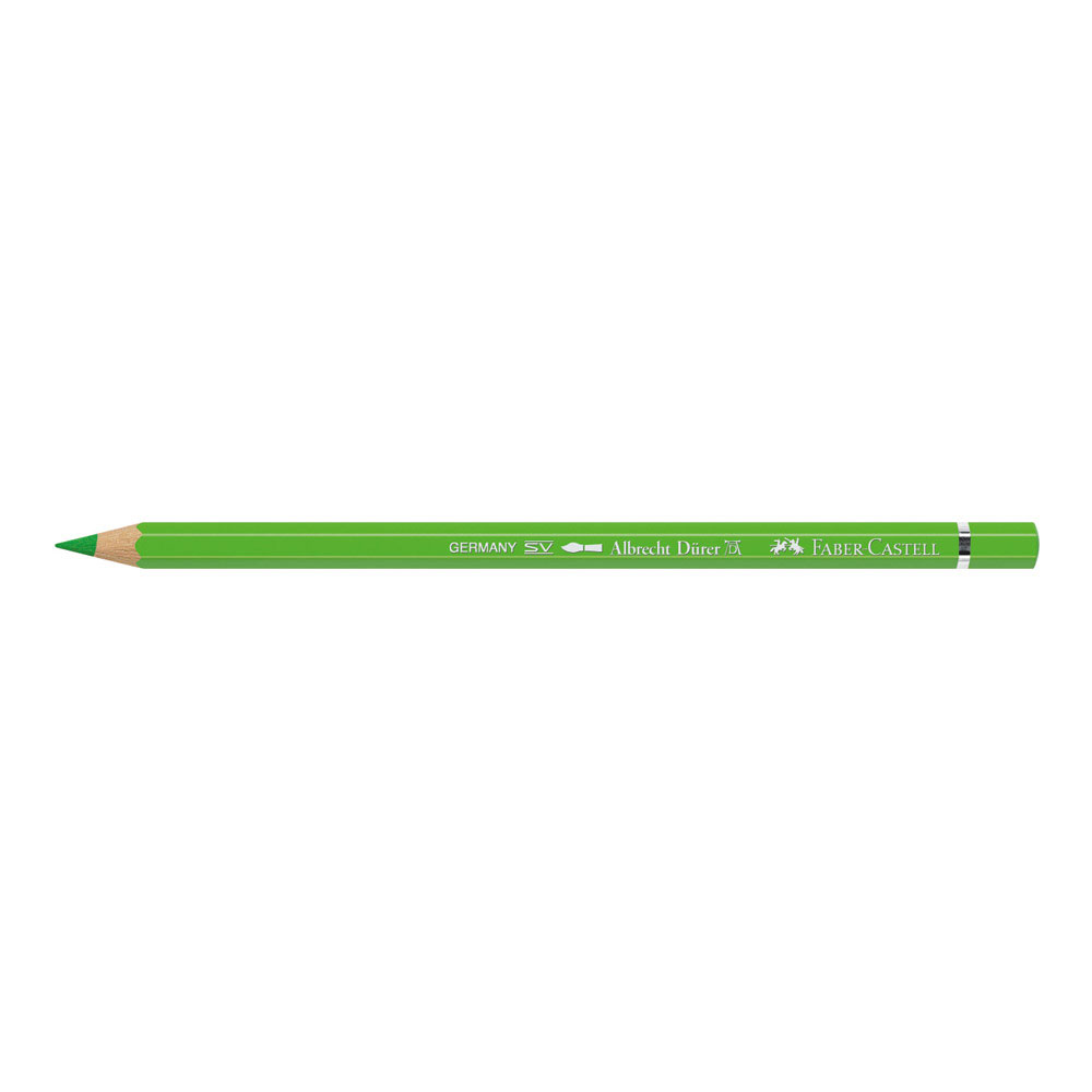 Albrecht Durer W/C Pencil 166 Grass Green