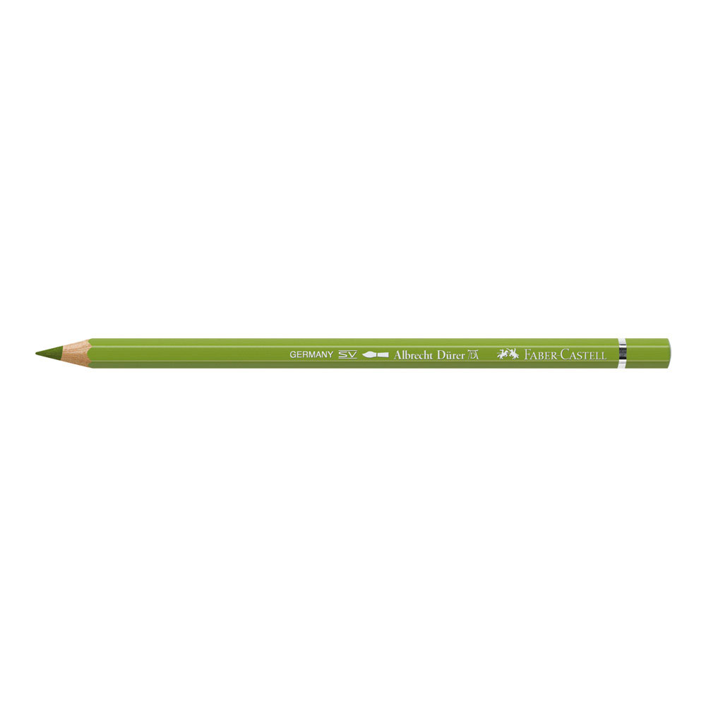 Albrecht Durer W/C Pencil 168 Earth Gr Yellow