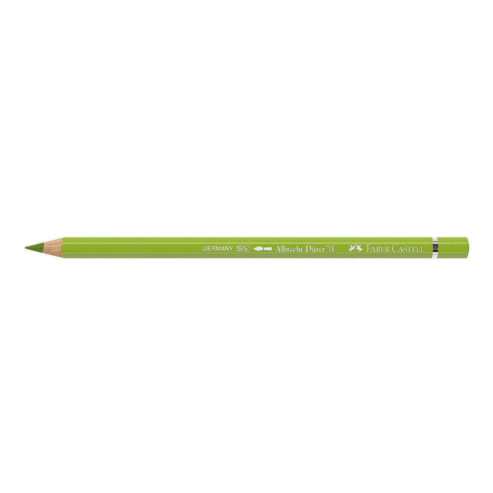 Albrecht Durer W/C Pencil 170 May Green