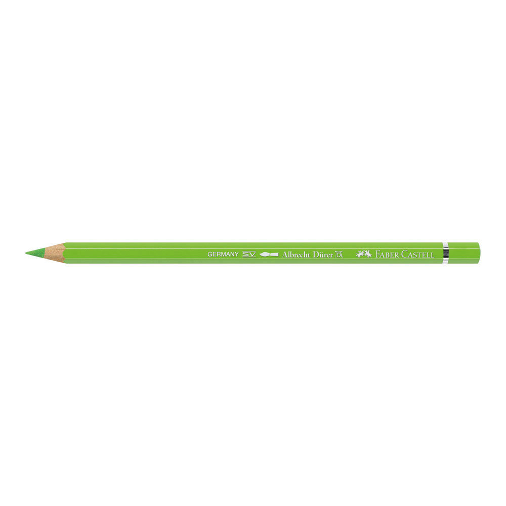 Albrecht Durer W/C Pencil 171 Light Green