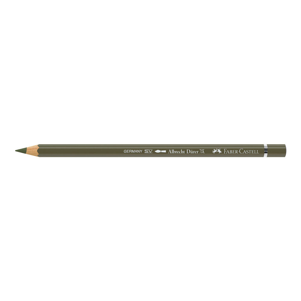 Albrecht Durer W/C Pencil 173 Olive Gr Yellow