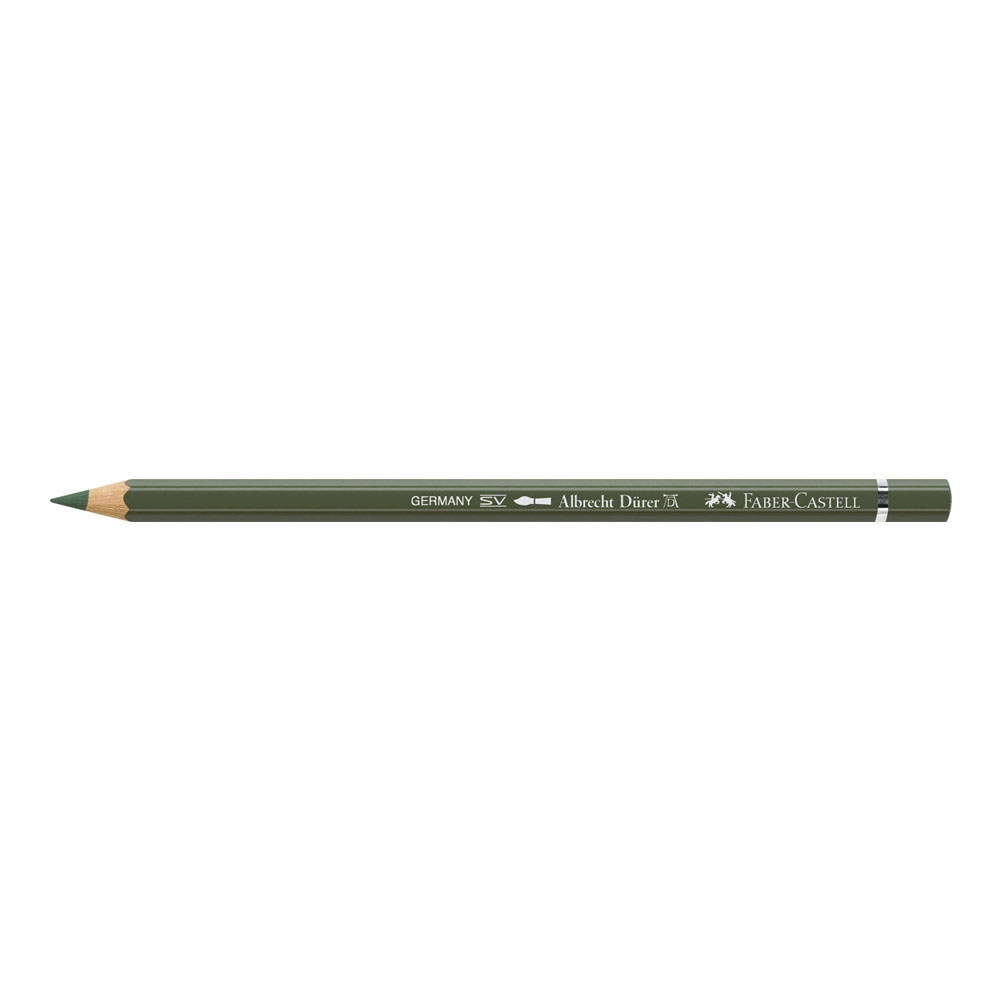 Albrecht Durer W/C Pencil 174 Chrm Gr Opaque