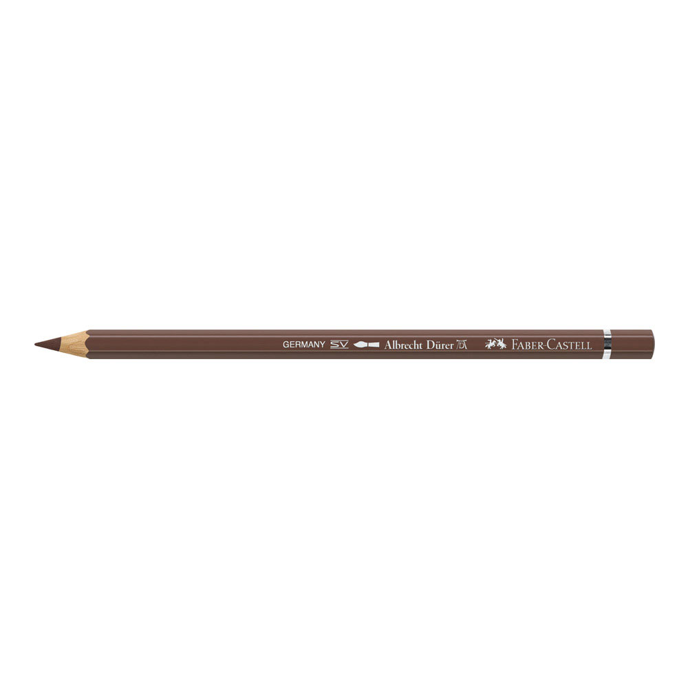 Albrecht Durer W/C Pencil 176 Vandyck Brown