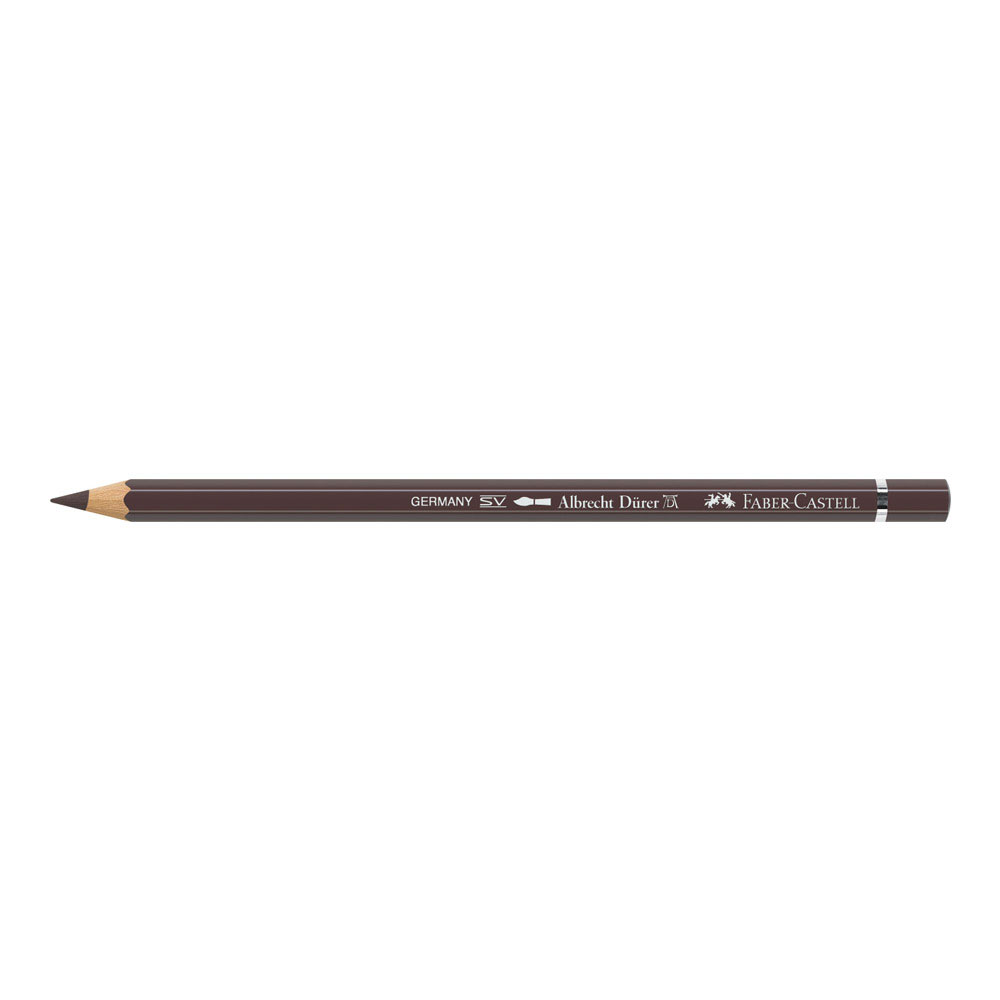 Albrecht Durer W/C Pencil 177 Walnut Brown
