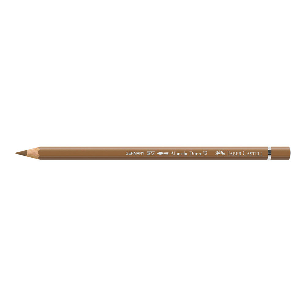Albrecht Durer W/C Pencil 180 Raw Umber