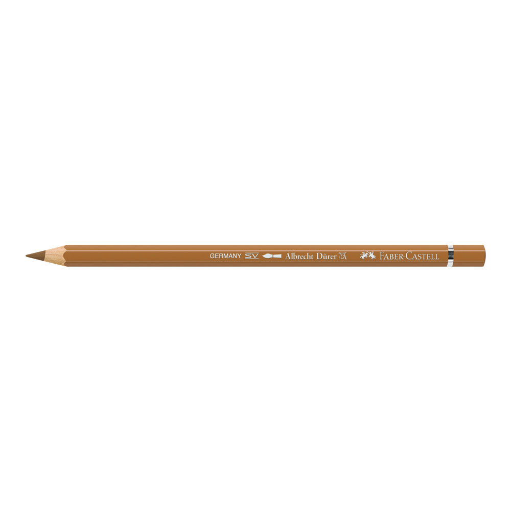 Albrecht Durer W/C Pencil 182 Brown Ochre