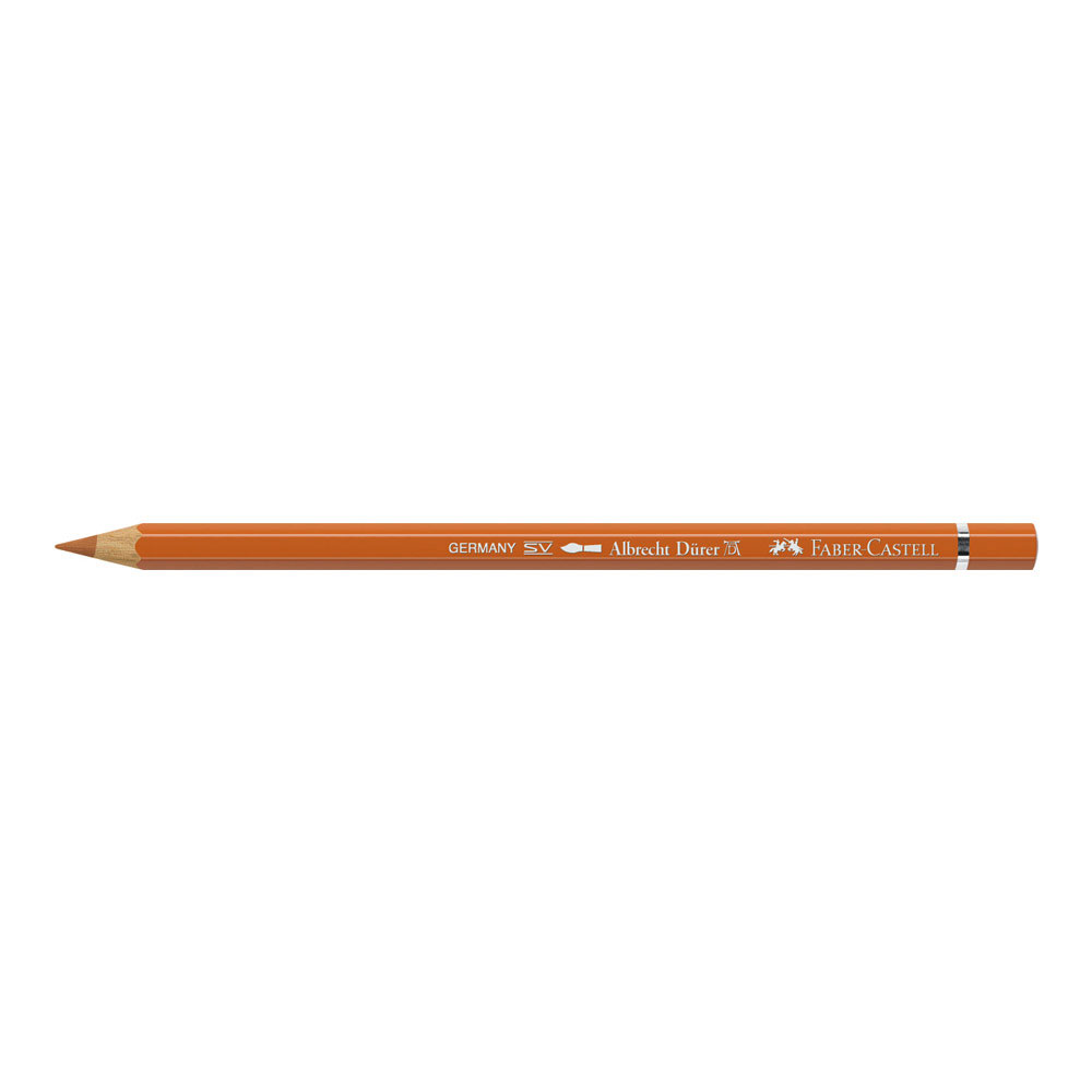 Albrecht Durer W/C Pencil 186 Terracotta
