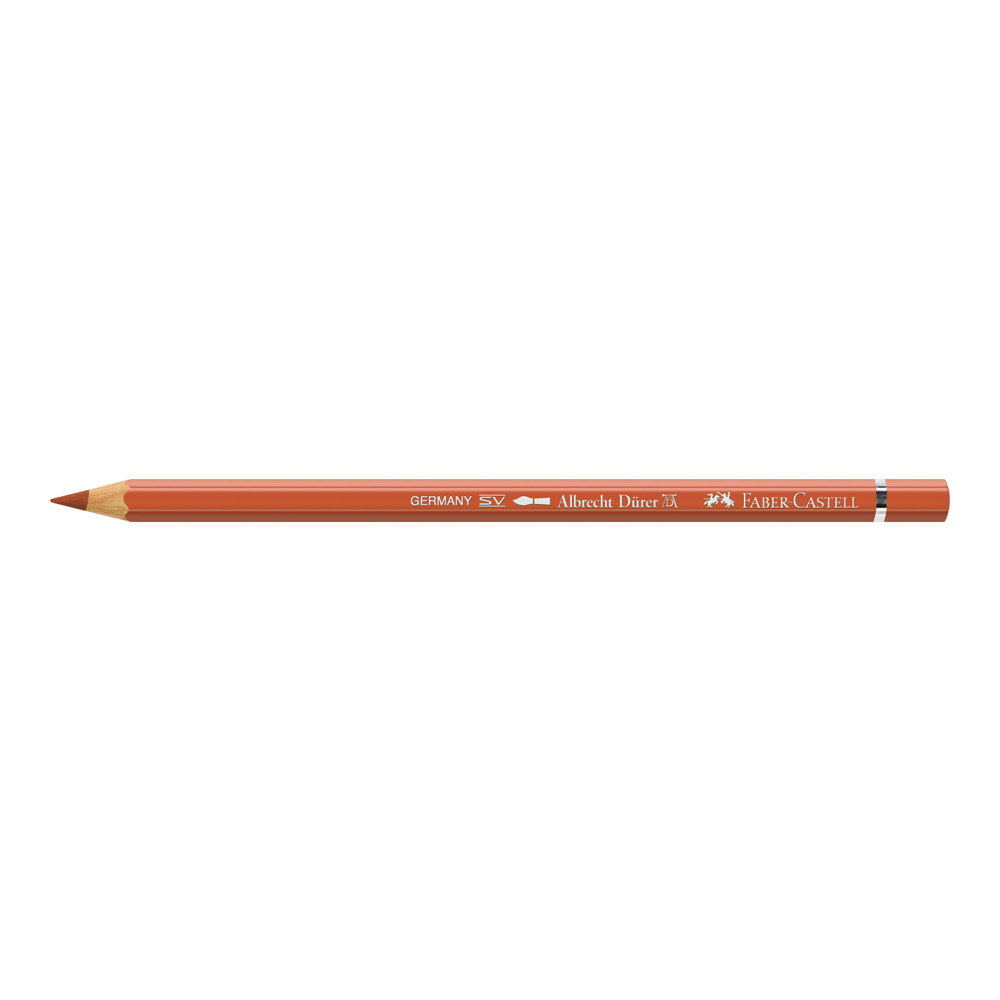 Albrecht Durer W/C Pencil 188 Sanguine