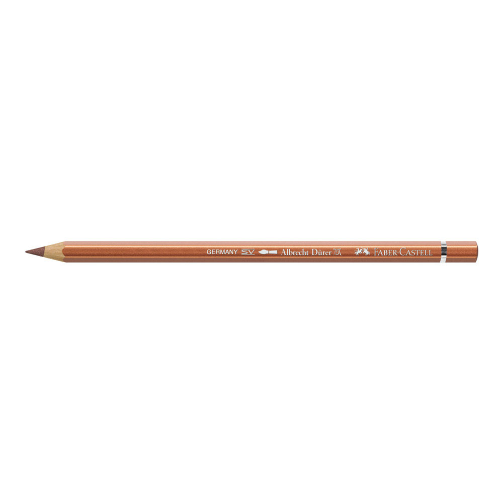 Albrecht Durer W/C Pencil 252 Copper