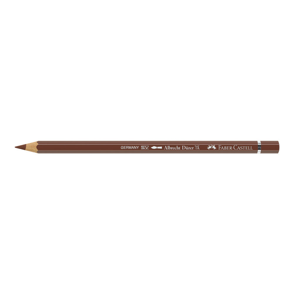 Albrecht Durer W/C Pencil 283 Burnt Sienna