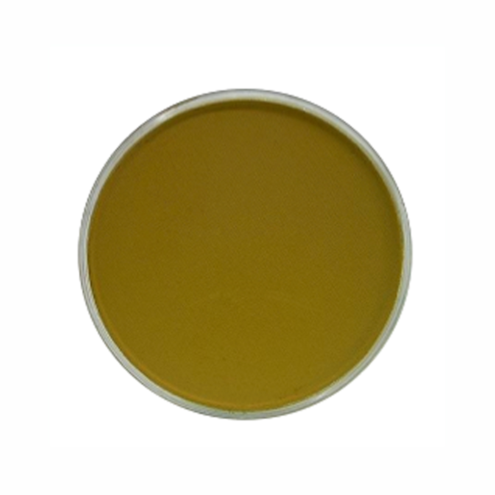 Panpastel Color Yellow Ochre Shade