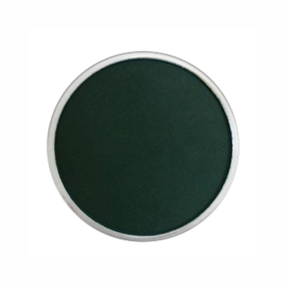 Panpastel Color Phthalo Green Extra Dark