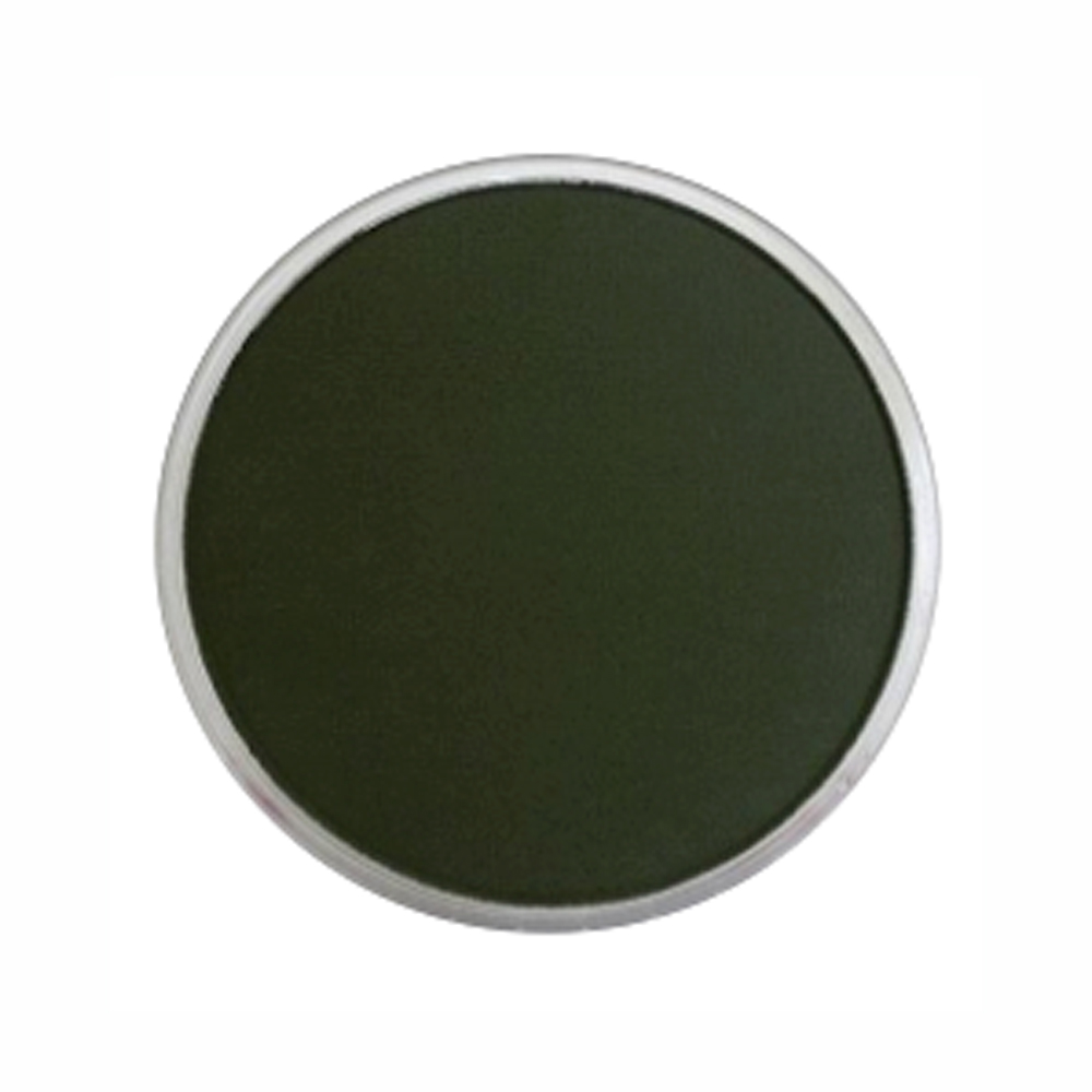 Panpastel Color Chromium Oxide Green X-Dark