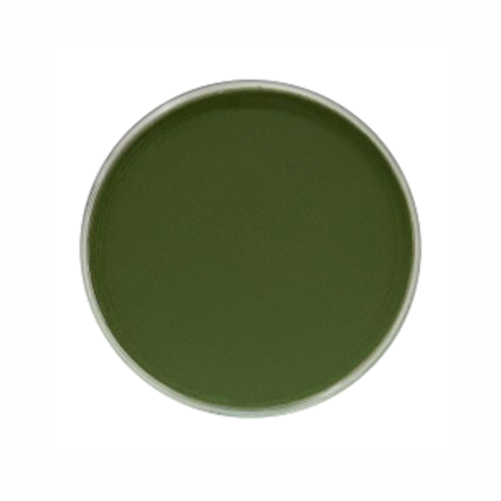 Panpastel Color Chromium Oxide Green Shade
