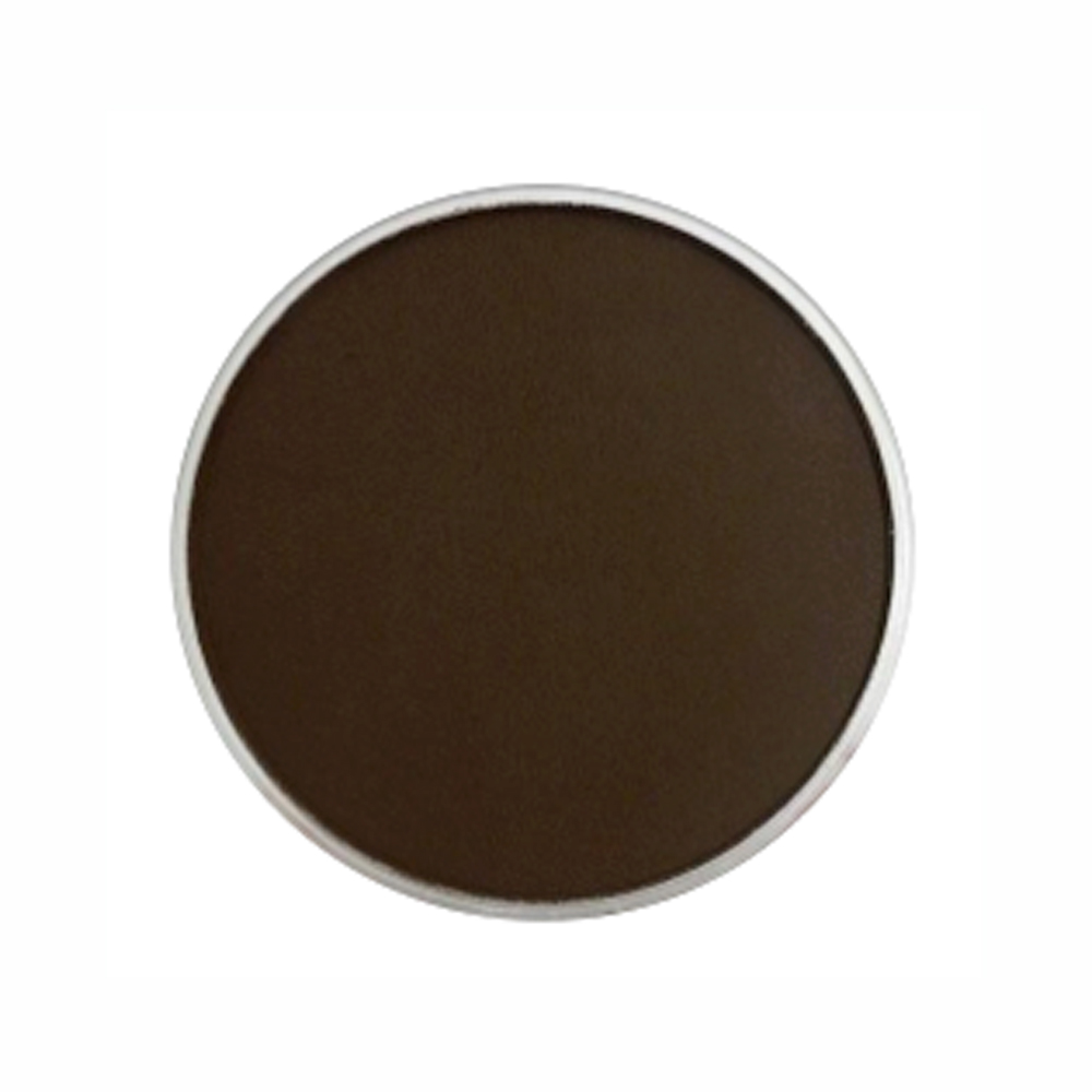 Panpastel Color Burnt Sienna Extra Dark