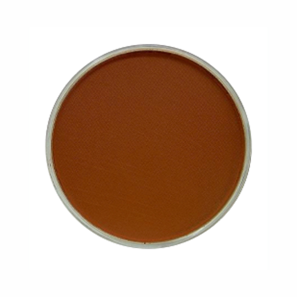 Panpastel Color Burnt Sienna