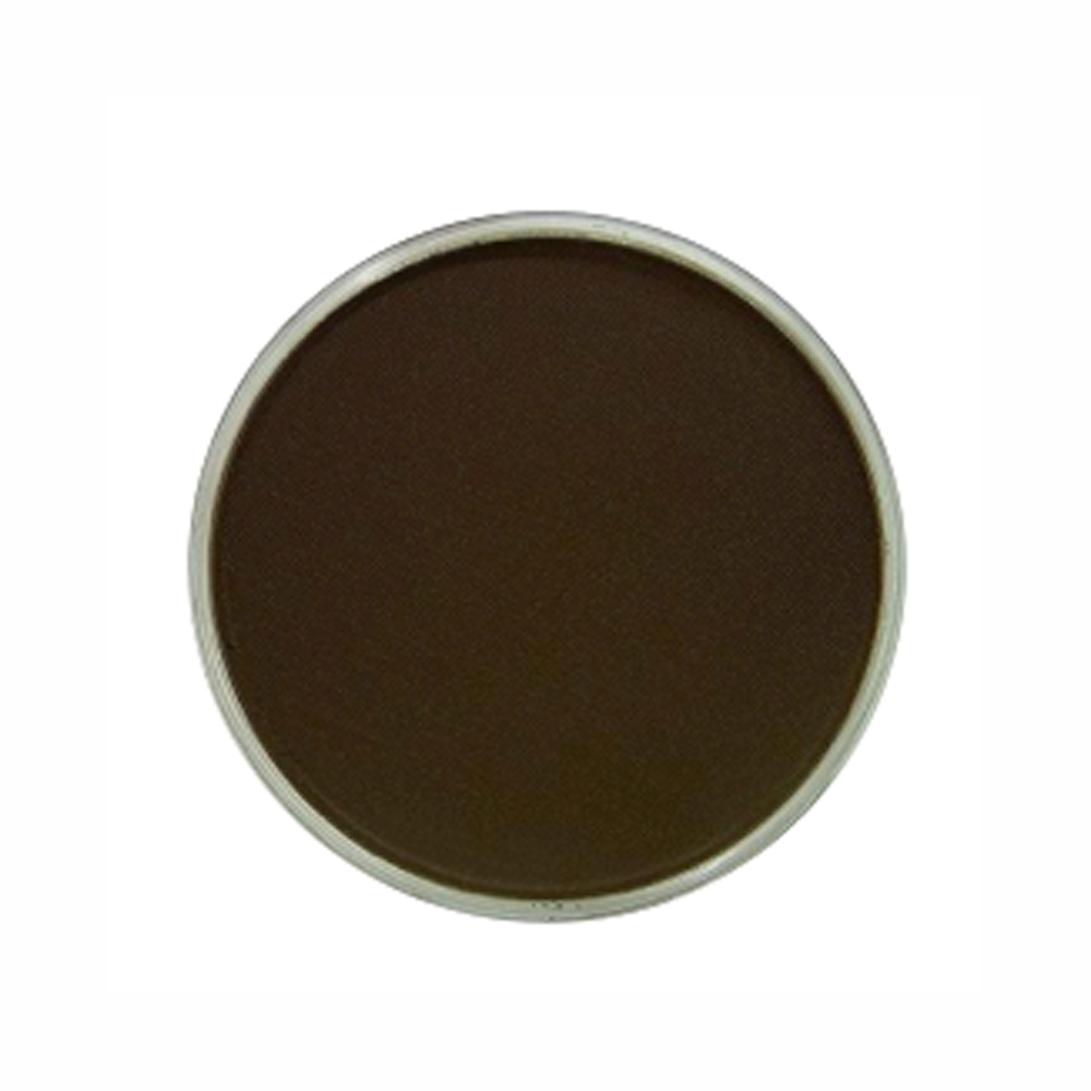 Panpastel Color Raw Umber Shade