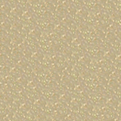 ORACAL 8810 Frosted Unp 48in X 10yd 091 Gold