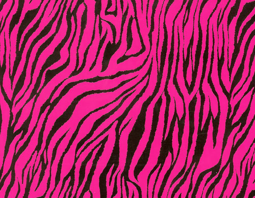 Wild Fashion 14.75 in X 15ft Neon Pink Zebr