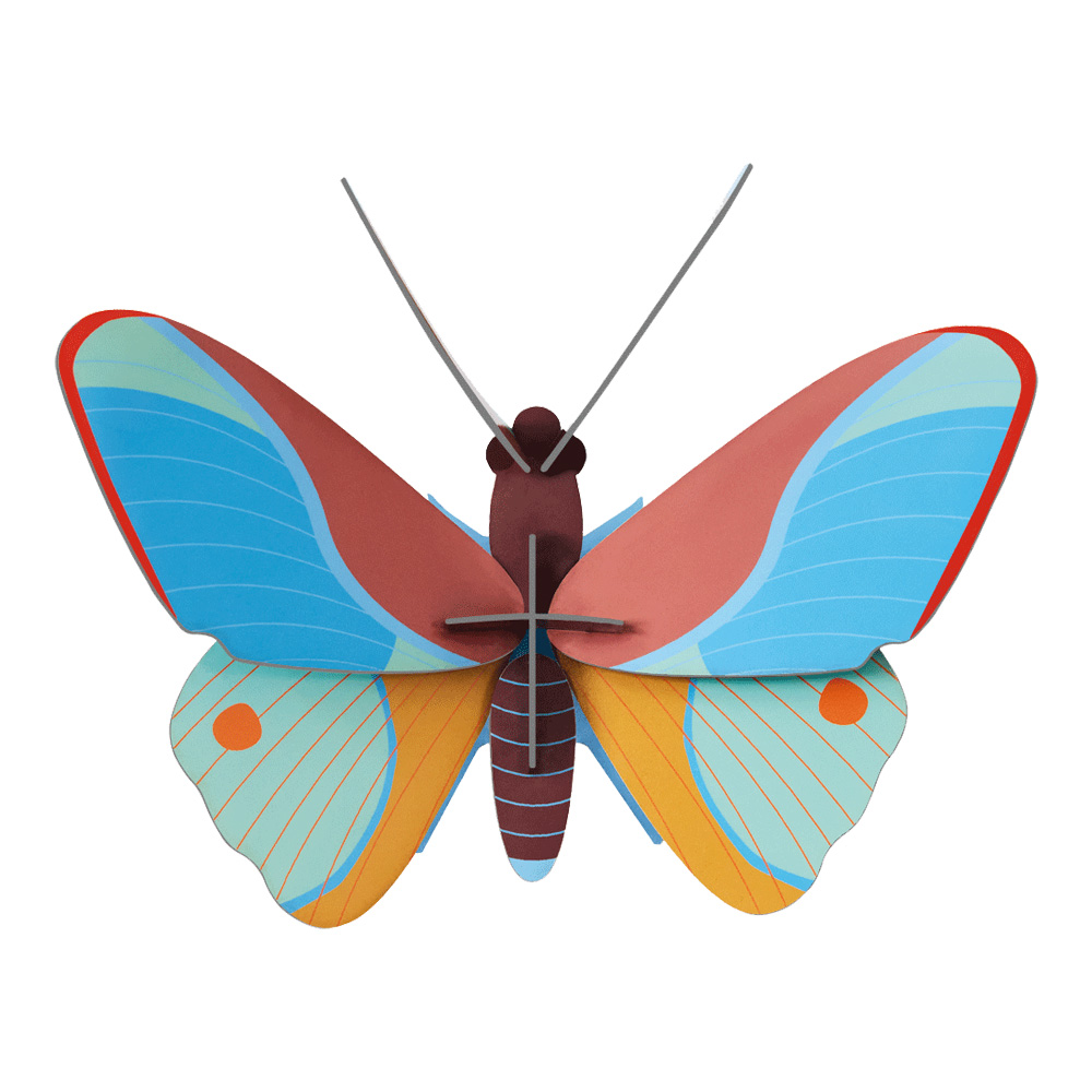 SR Wall Decoration Small Claudina Butterfly