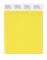 Pantone Cotton Swatch 13-0755 Primrose Yellow
