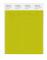 Pantone Cotton Swatch 15-0548 Citronelle