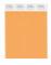 Pantone Cotton Swatch 15-1160 Blazing Orange