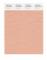 Pantone Cotton Swatch 15-1318 Pink Sand