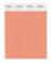 Pantone Cotton Swatch 15-1334 Shell Coral
