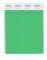 Pantone Cotton Swatch 15-6340 Irish Green
