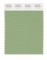 Pantone Cotton Swatch 15-6423 Forest Shade