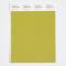 Pantone Cotton Swatch 16-0531 Perfect Pear