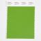 Pantone Cotton Swatch 17-0232 Salted Lime