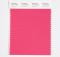 Pantone Cotton Swatch 17-1741 Party Punch