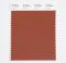 Pantone Cotton Swatch 19-1428 Brown Out