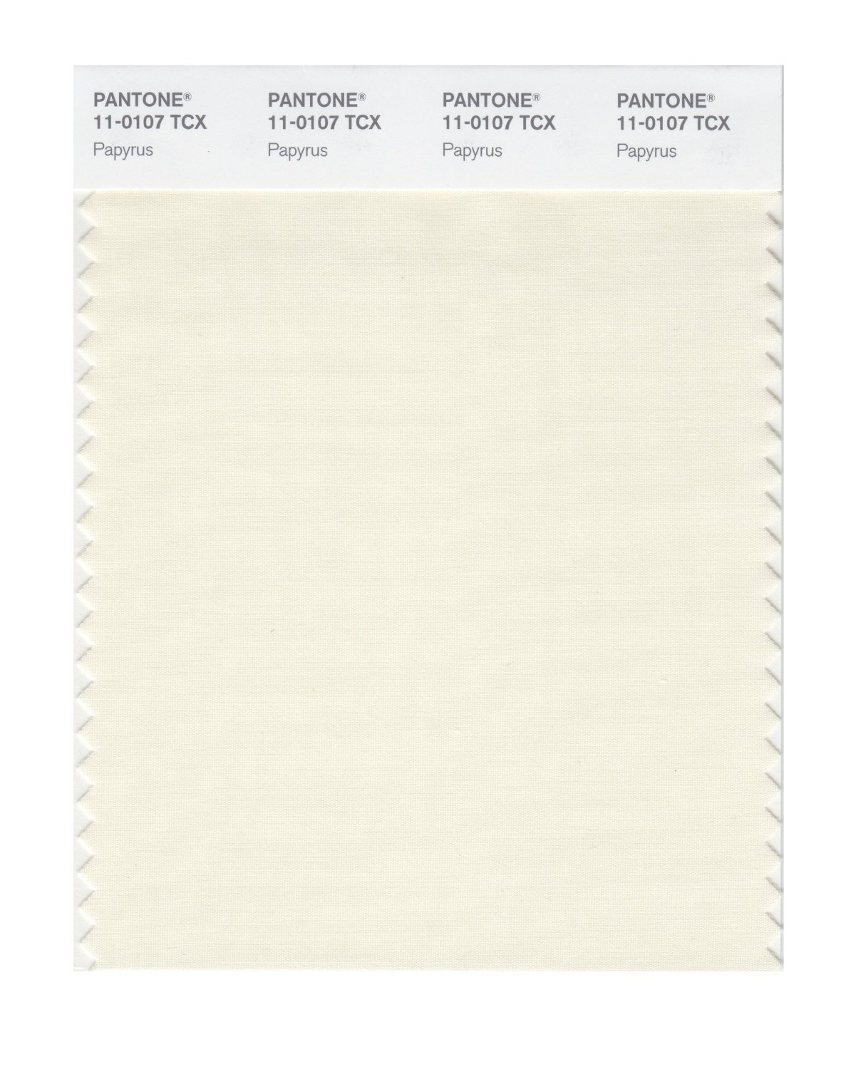 Pantone Cotton Swatch 11-0107 Papyrus