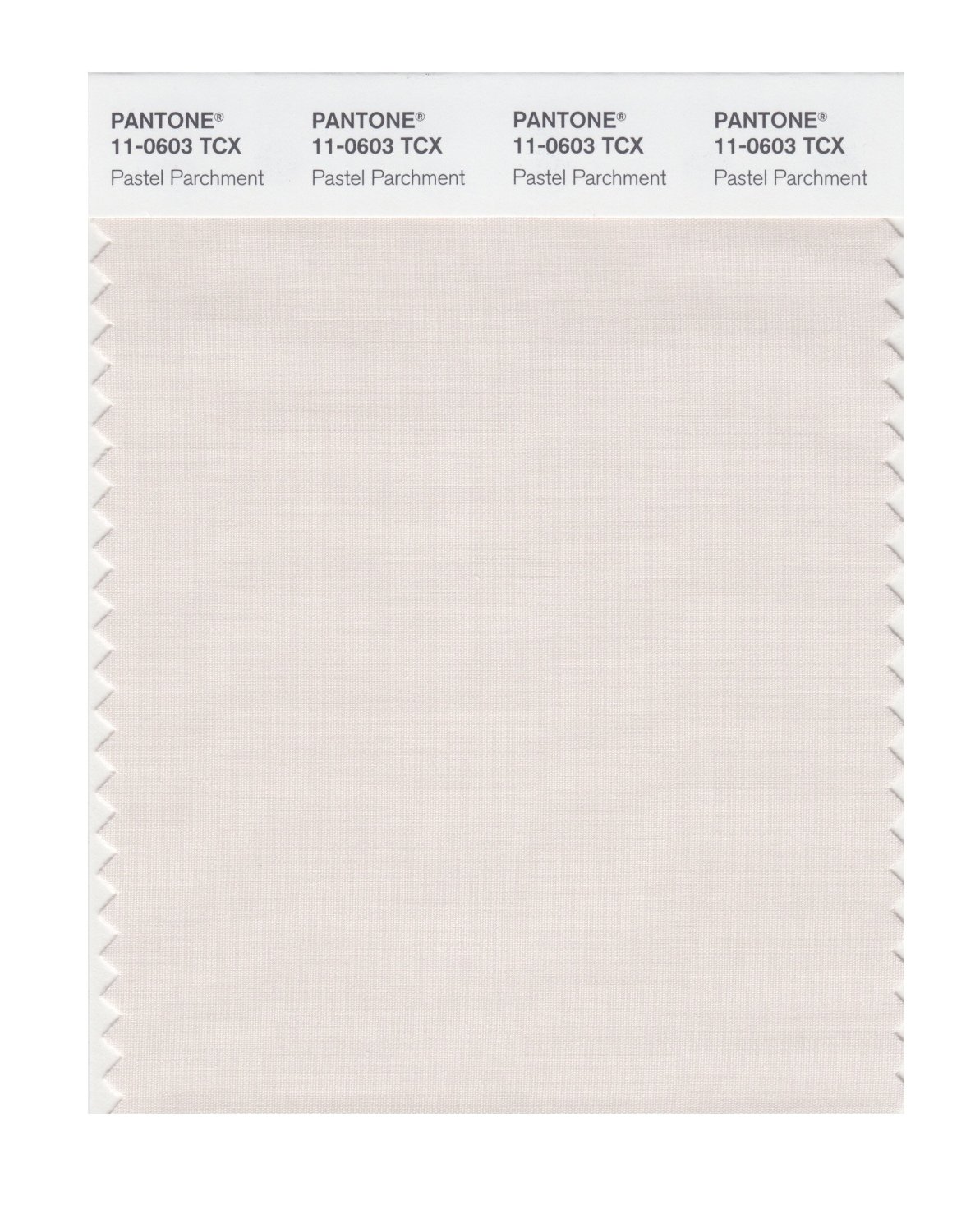 Pantone Cotton Swatch 11-0603 Pastel Parchmen